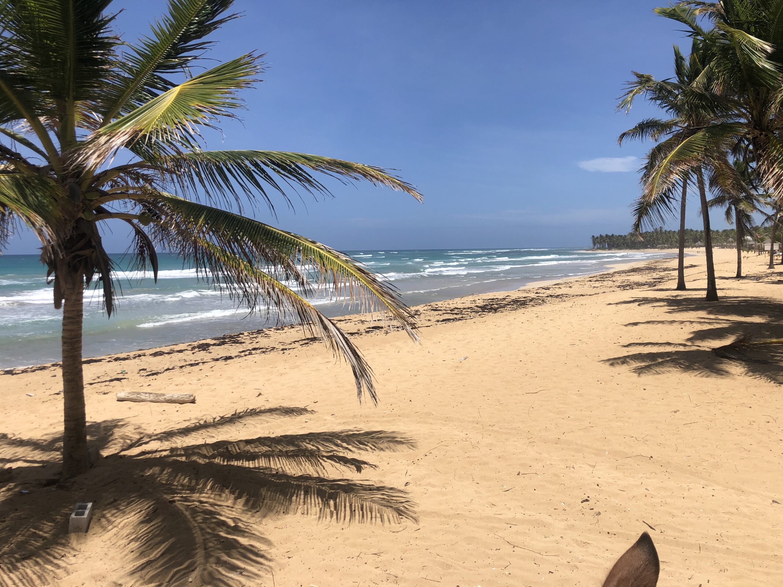 Paradise Beach